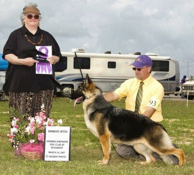 Reserve Futurity Bitch