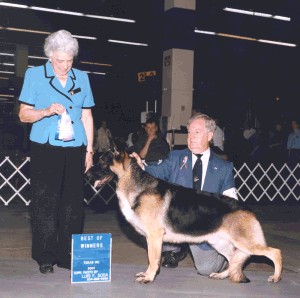 Cheyenne