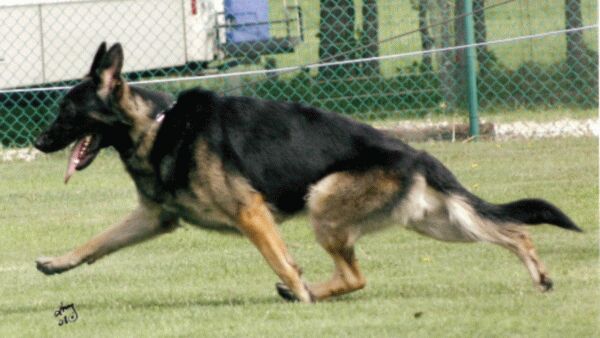 Largo in Motion at Age 2