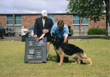 Largogh 2011