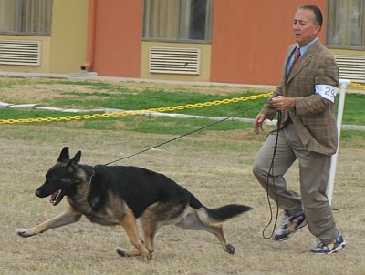Largogh and George 2009