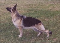 Meri
