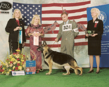 Spinner 2004 GSDCA National Veterans Bitch
